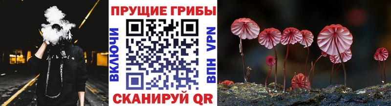 Псилоцибиновые грибы Cubensis  купить закладку  гидра рабочий сайт  Вуктыл 